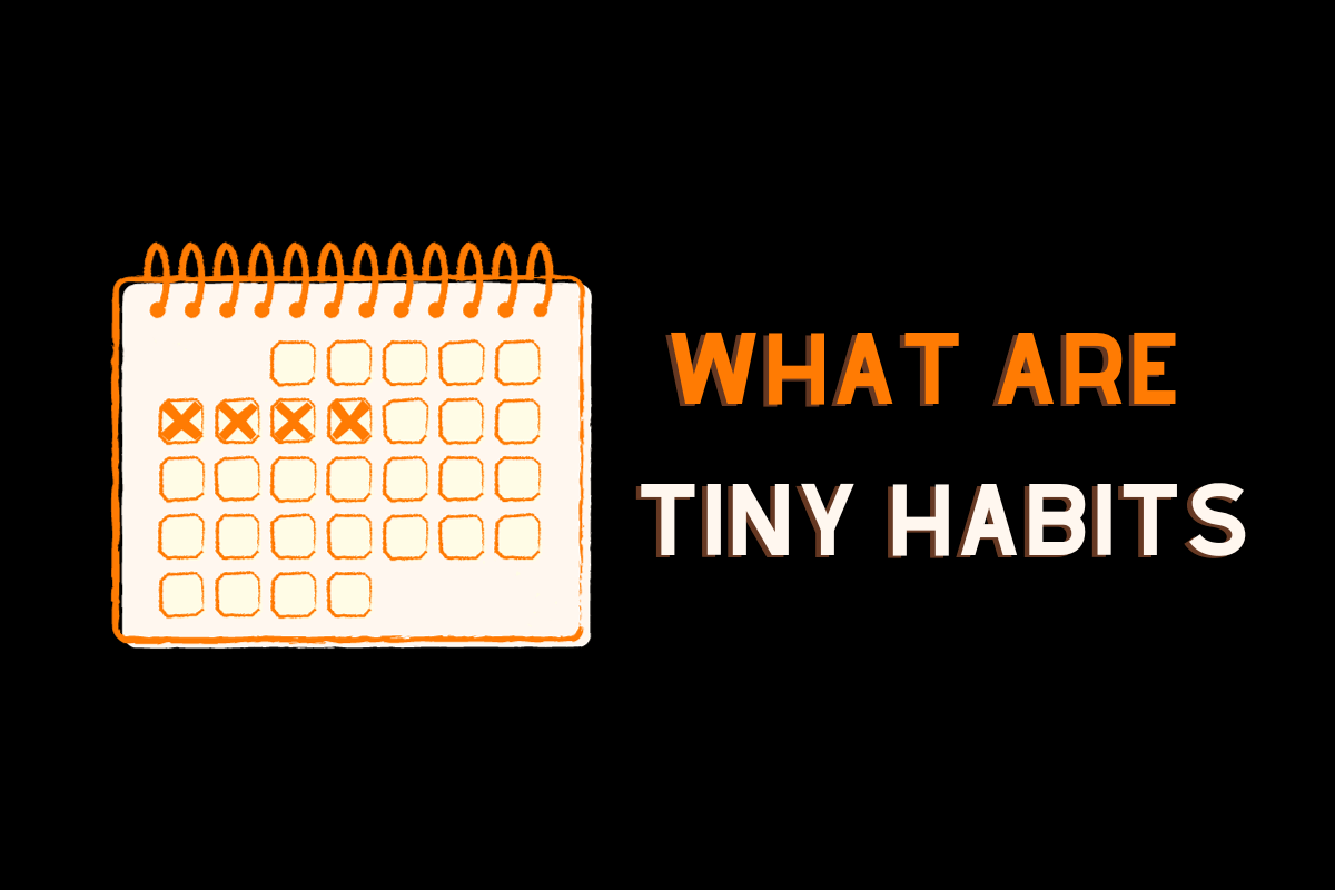 tiny habits